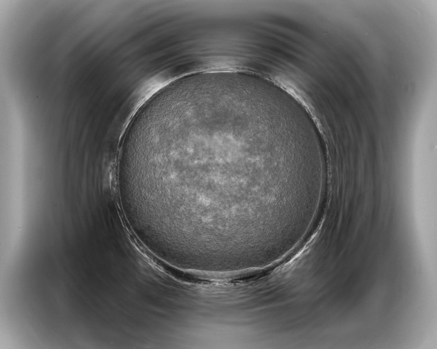 X0000087041481200704181205