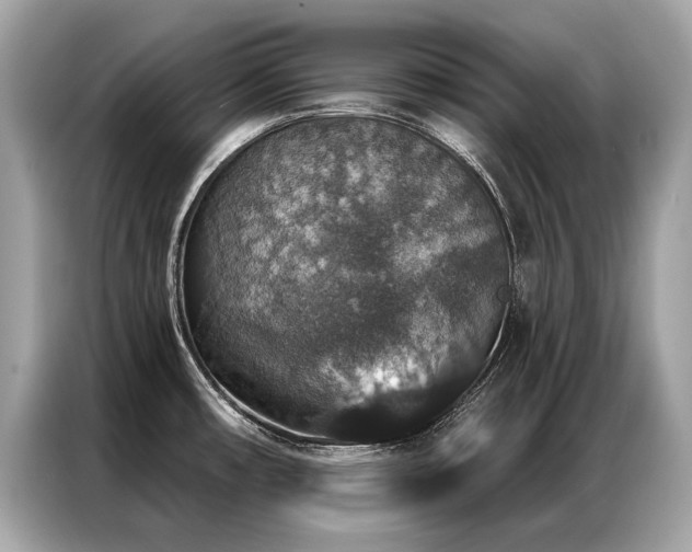 X0000087041482200704181205