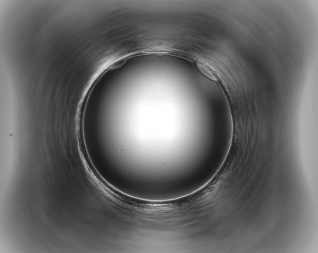 X0000087041483200704181205