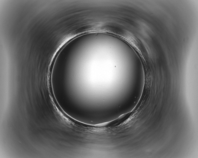X0000087041484200704181205