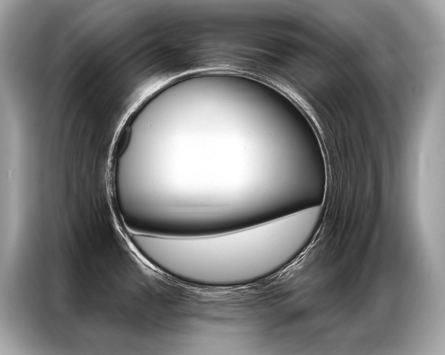 X0000087041485200704181205