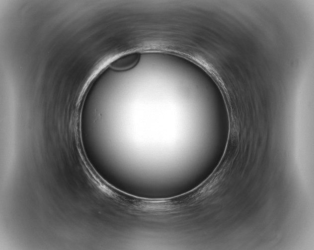 X0000087041486200704181205