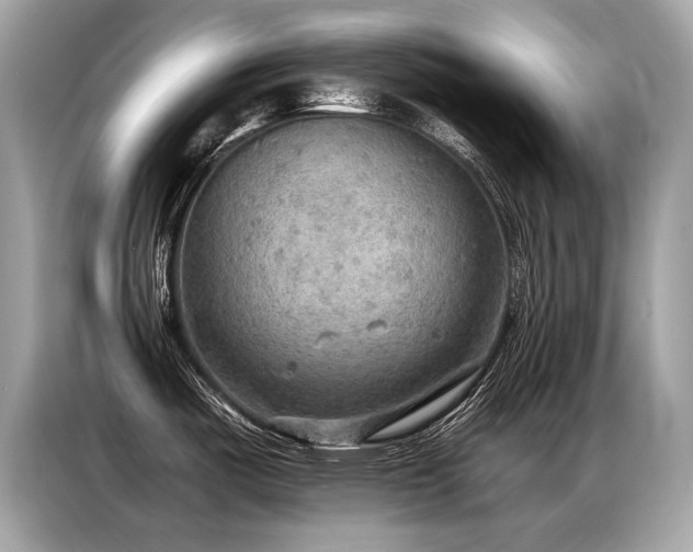 X0000087041487200704181205