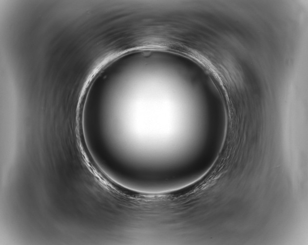 X0000087041488200704181205