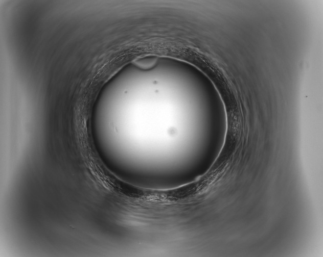 X0000087041489200704181204