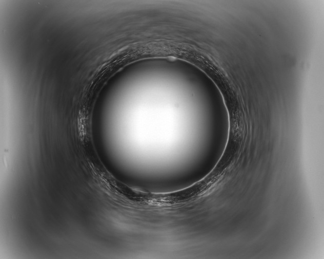 X0000087041490200704181204
