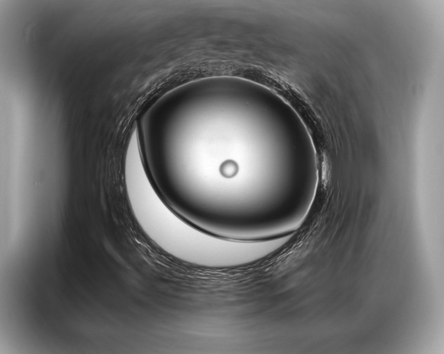 X0000087041492200704181204