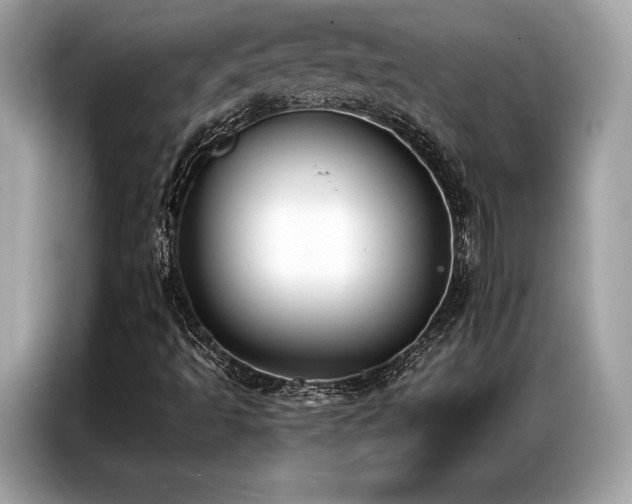X0000087041493200704181204