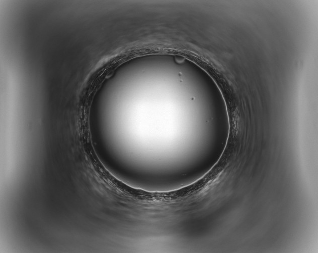 X0000087041494200704181204