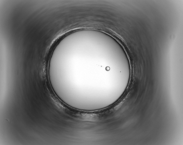 X0000087041498200704181204