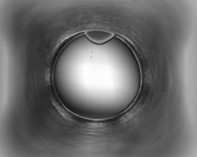 X0000087041499200704181204