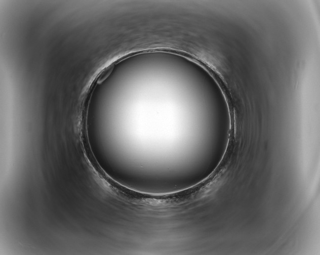 X0000087041500200704181204
