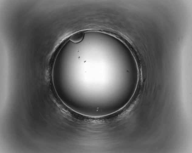 X0000087041501200704181204