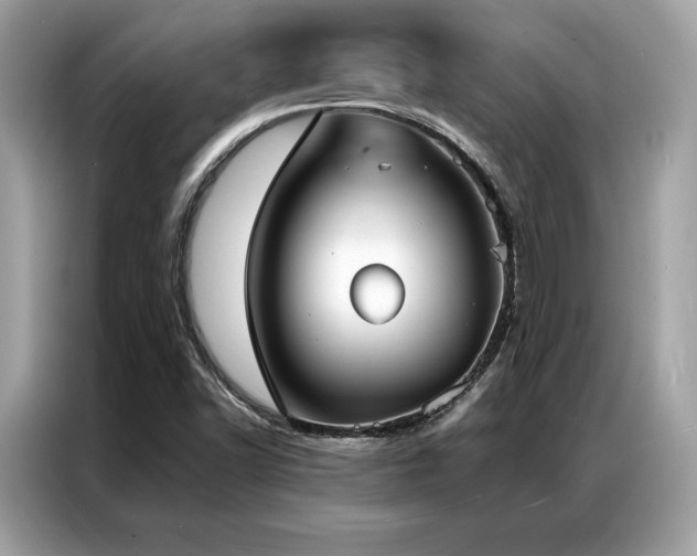 X0000087041502200704181204