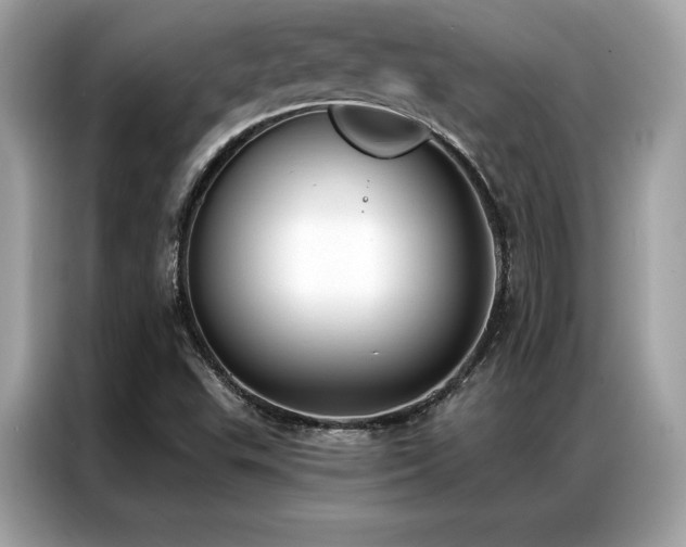 X0000087041503200704181204