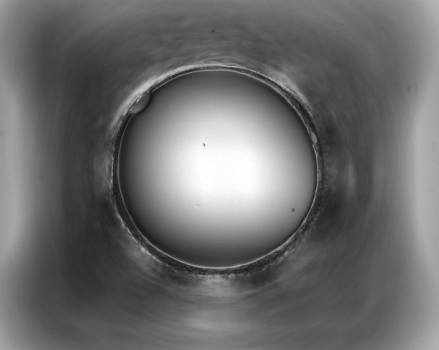 X0000087041504200704181204