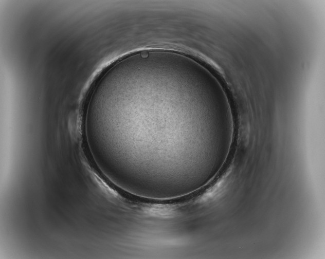 X0000087041506200704181204