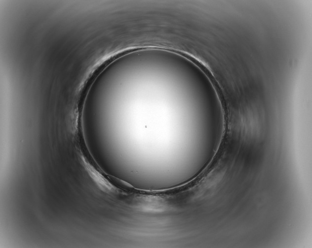 X0000087041507200704181204
