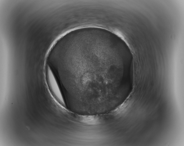 X0000087041508200704181204
