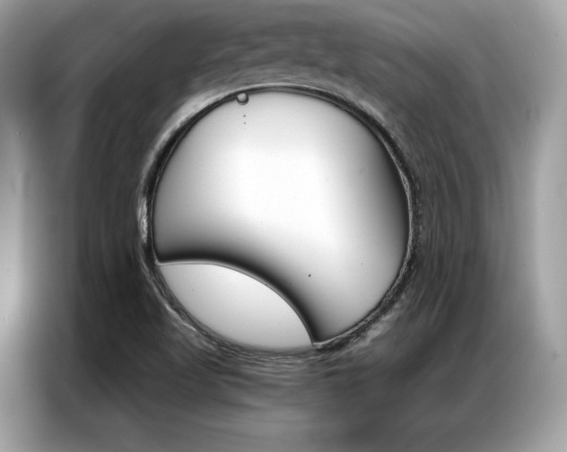 X0000087041509200704181204