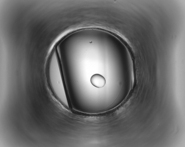 X0000087041510200704181204
