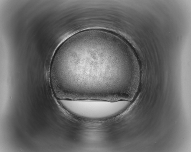 X0000087041513200704181204