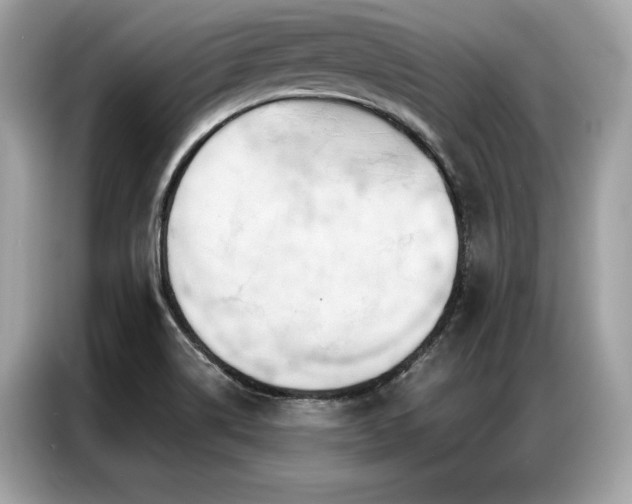 X0000087041514200704181204