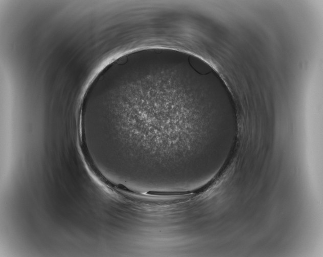 X0000087041515200704181204