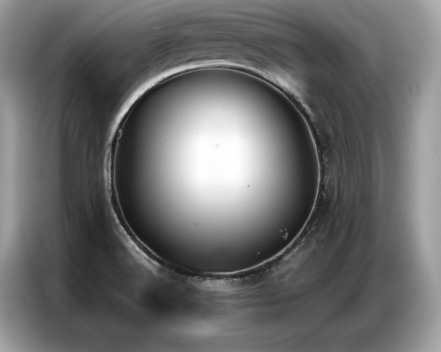 X0000087041516200704181204