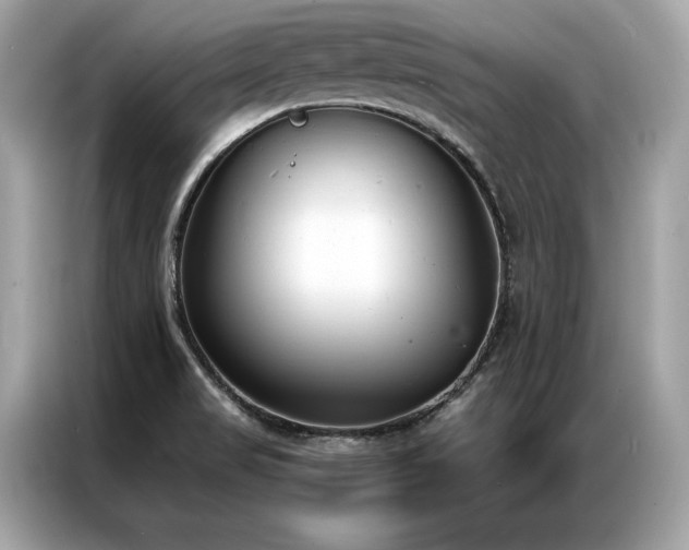 X0000087041517200704181204
