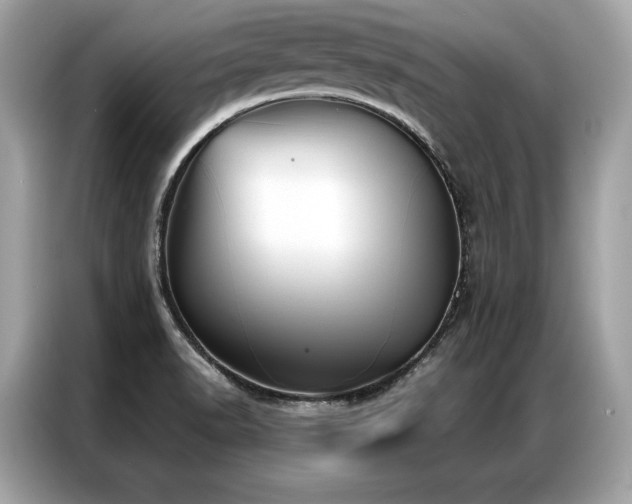 X0000087041518200704181204