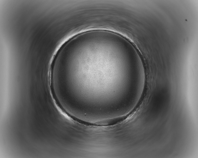 X0000087041519200704181204