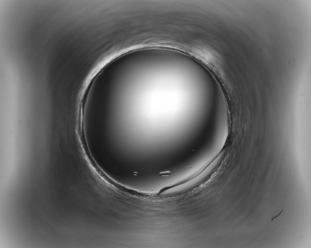 X0000087041520200704181204