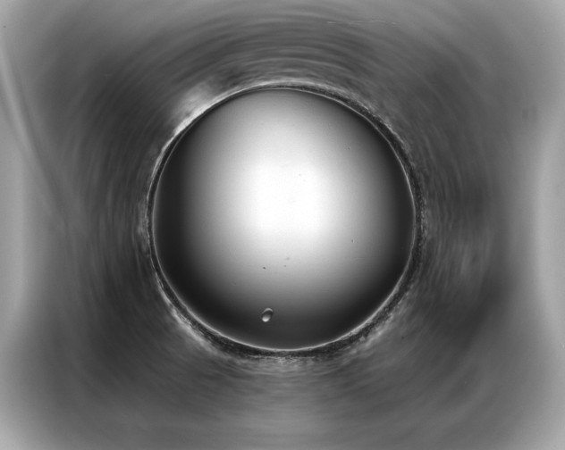 X0000087041521200704181204