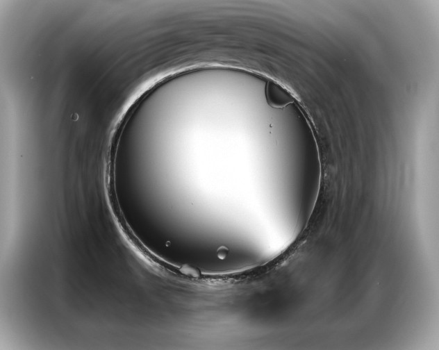 X0000087041523200704181204