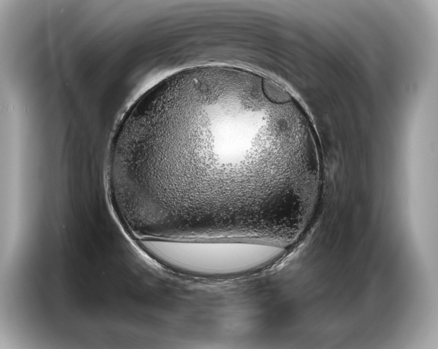 X0000087041525200704181205