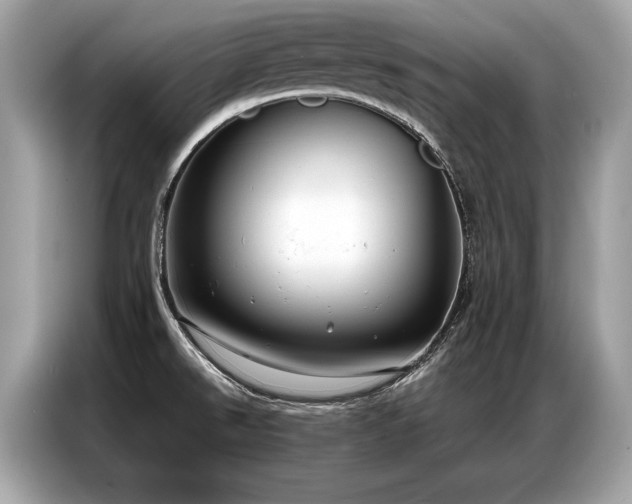 X0000087041526200704181205