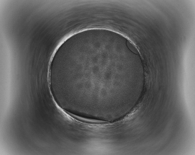 X0000087041527200704181205