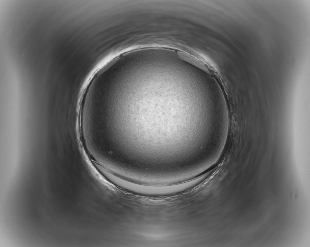 X0000087041528200704181205