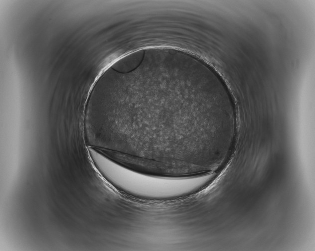 X0000087041529200704181205