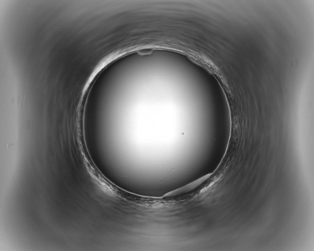 X0000087041530200704181205