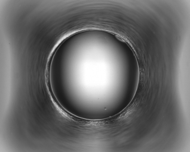 X0000087041531200704181205