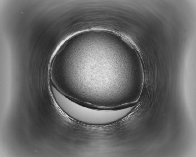 X0000087041532200704181205