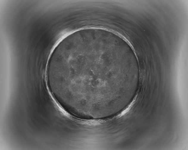 X0000087041533200704181205