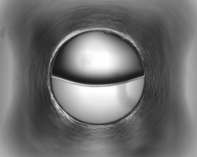 X0000087041534200704181205
