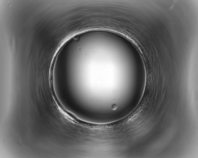 X0000087041535200704181205