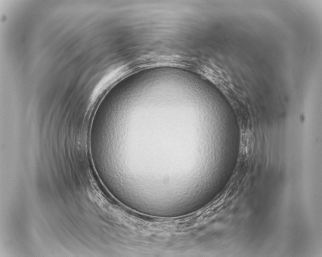 X0000087040004200704250950