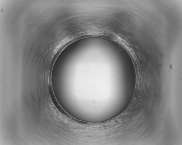 X0000087040011200704250950