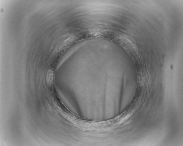 X0000087040036200704250950