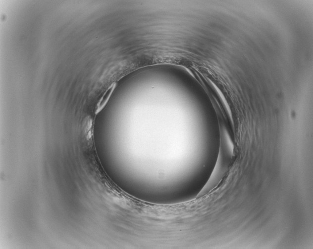 X0000087040041200704250950